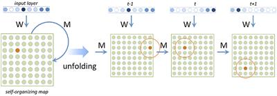 A Processing-Oriented Investigation of Inflectional Complexity